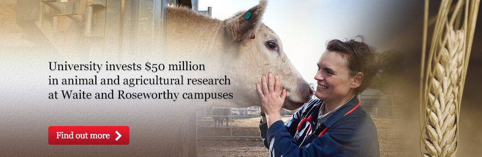 $50 million investment in research